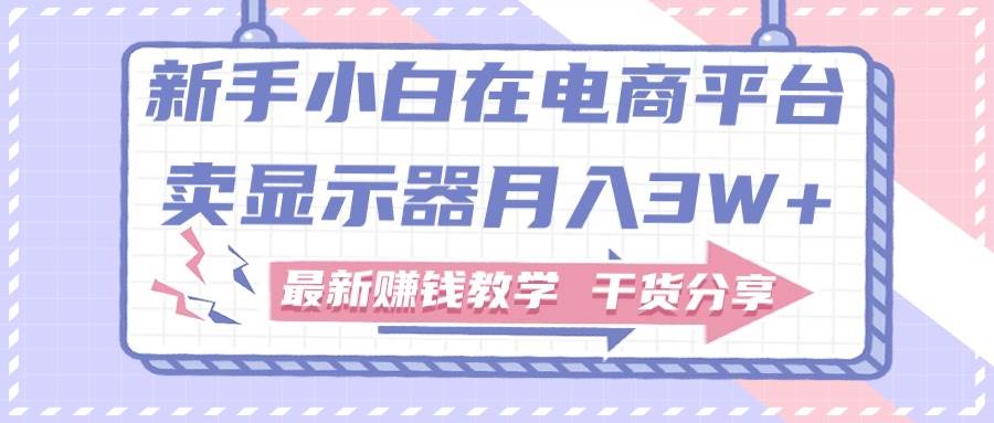 新手小白如何做到在电商平台卖显示器月入3W+，最新赚钱教学干货分享-时光资源网