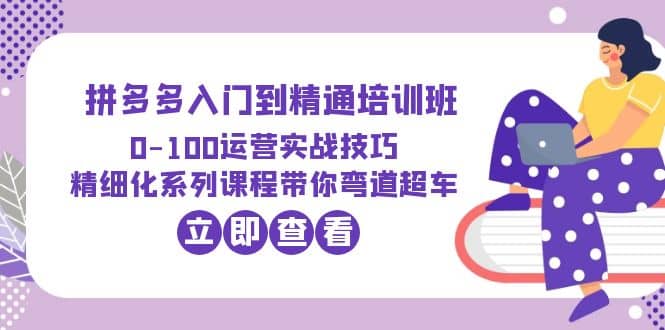 2023拼多多入门到精通培训班：0-100运营实战技巧 精细化系列课带你弯道超车-时光资源网