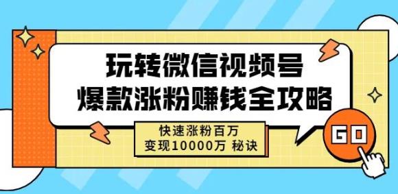 玩转微信视频号爆款涨粉赚钱全攻略，快速涨粉百万变现万元秘诀-时光资源网
