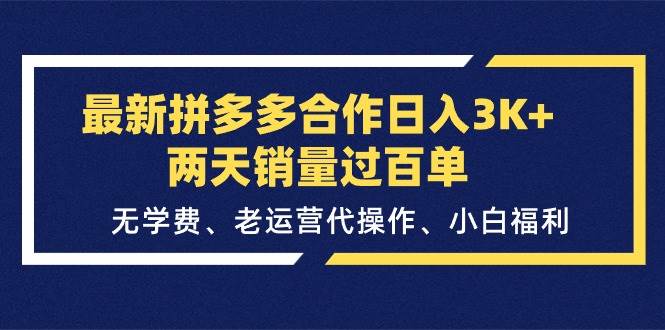 最新拼多多合作日入3K+两天销量过百单，无学费、老运营代操作、小白福利-时光资源网