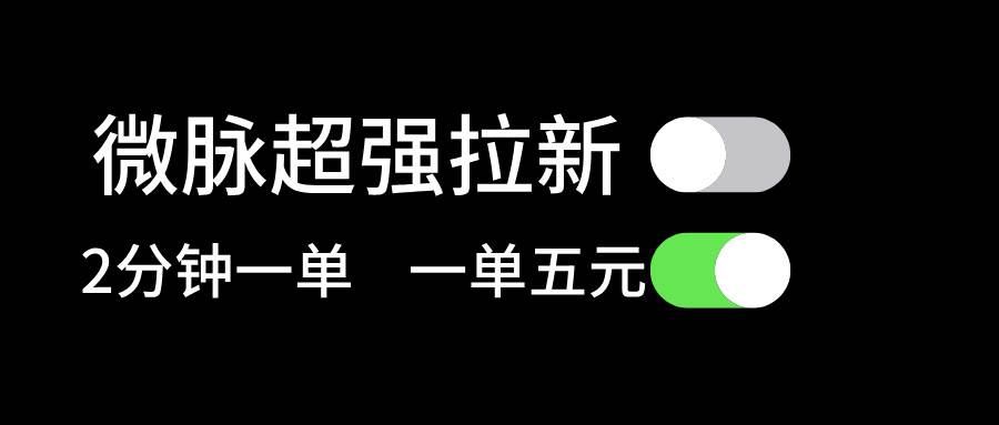 微脉超强拉新， 两分钟1单， 一单利润5块，适合小白-时光资源网