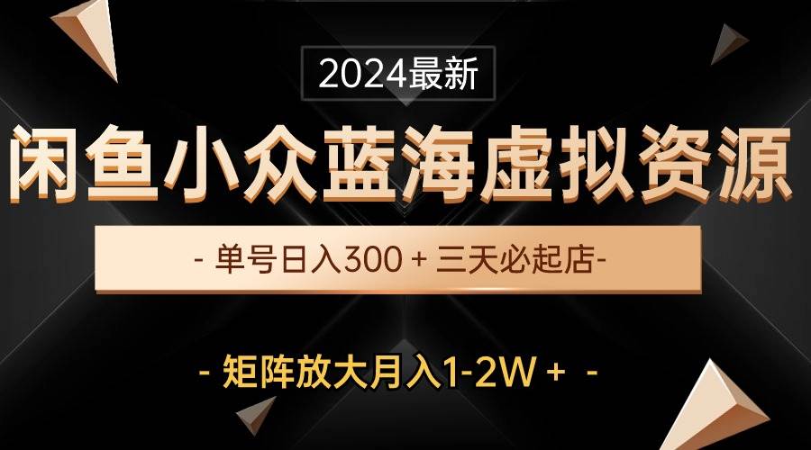 最新闲鱼小众蓝海虚拟资源，单号日入300＋，三天必起店，矩阵放大月入1-2W-时光资源网