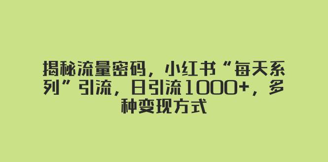 揭秘流量密码，小红书“每天系列”引流，日引流1000+，多种变现方式-时光资源网