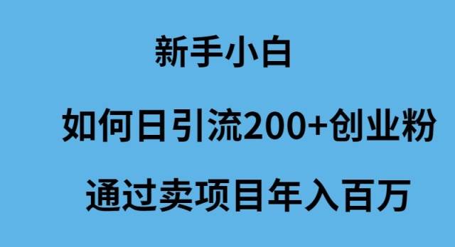 新手小白如何日引流200+创业粉通过卖项目年入百万-时光资源网