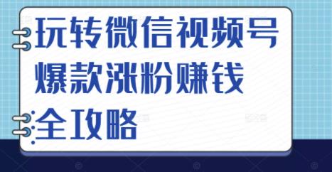 玩转微信视频号爆款涨粉赚钱全攻略，让你快速抓住流量风口，收获红利财富-时光资源网