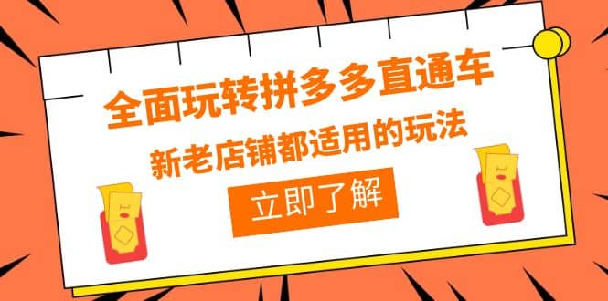 全面玩转拼多多直通车，新老店铺都适用的玩法（12节精华课）-时光资源网