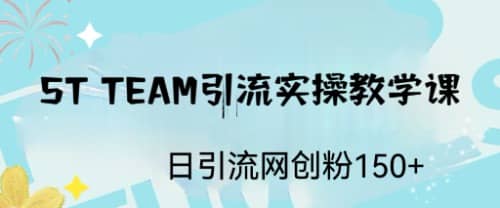 ST TEAM引流实操课，日引流网创粉100+-时光资源网