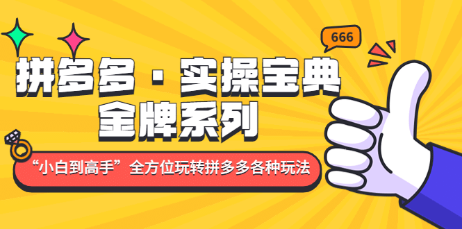 拼多多·实操宝典：金牌系列“小白到高手”带你全方位玩转拼多多各种玩法-时光资源网