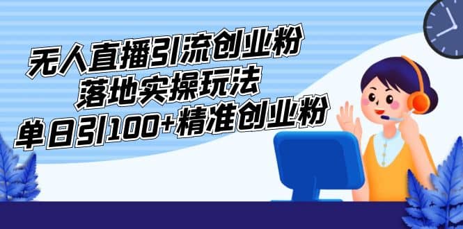 外面收费3980的无人直播引流创业粉落地实操玩法，单日引100+精准创业粉-时光资源网
