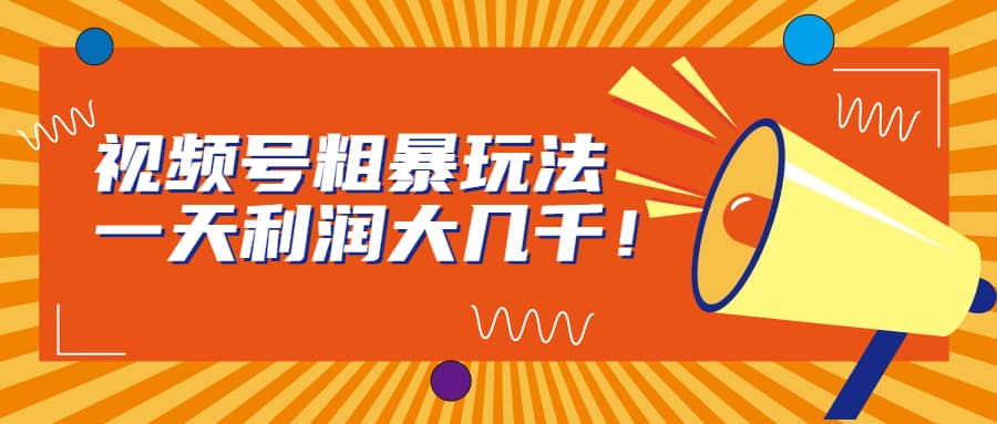 视频号粗暴玩法，一天利润大几千-时光资源网