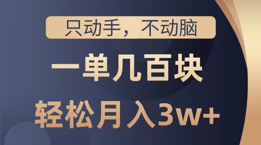 只动手不动脑，一单几百块，轻松月入2w+，看完就能直接操作，详细教程-时光资源网