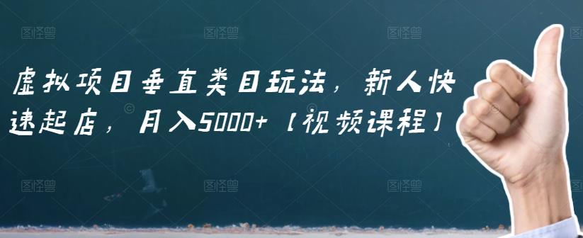虚拟项目垂直类目玩法，新人快速起店，月入5000+【视频课程】-时光资源网
