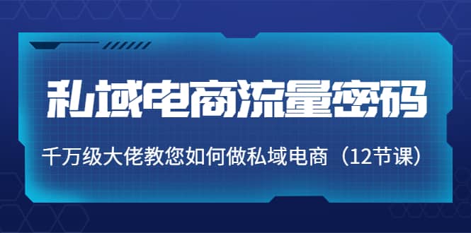 私域电商流量密码：千万级大佬教您如何做私域电商（12节课）-时光资源网