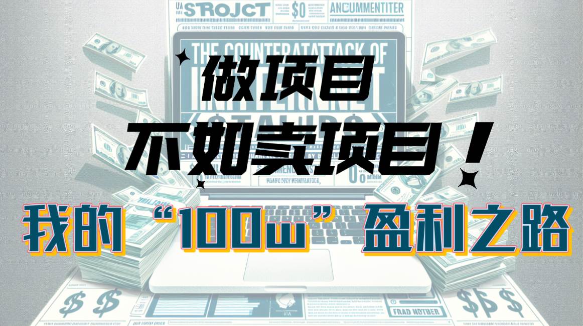 为什么做项目不如卖项目？我的100W+盈利之路-时光资源网