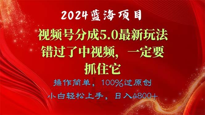 2024蓝海项目，视频号分成计划5.0最新玩法，错过了中视频，一定要抓住…-时光资源网