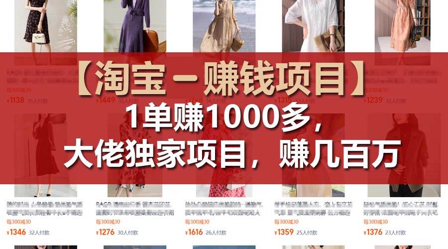 【淘宝赚钱项目】1单可赚1000多，大佬独家项目，年赚几百万-时光资源网