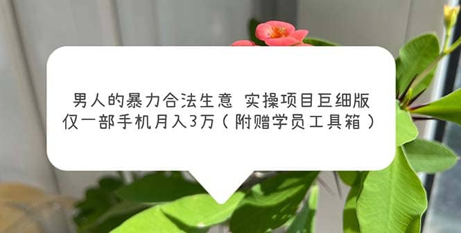 男人的暴力合法生意实操项目巨细版：仅一部手机月入3w（附赠学员工具箱）-时光资源网