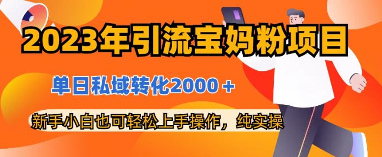 2023年引流宝妈粉项目，单日私域转化2000＋，新手小白也可轻松上手操作，纯实操-时光资源网