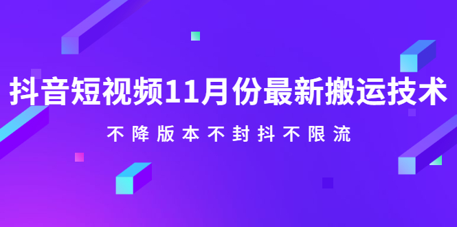 抖音短视频11月份最新搬运技术，不降版本不封抖不限流！【视频课程】-时光资源网