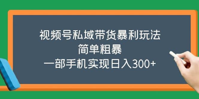 视频号私域带货暴利玩法，简单粗暴-时光资源网