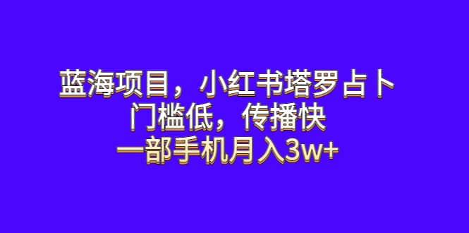 蓝海项目，小红书塔罗占卜，门槛低，传播快，一部手机月入3w+-时光资源网