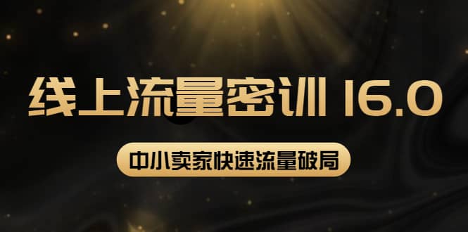 2022秋秋线上流量密训16.0：包含 暴力引流10W+中小卖家流量破局技巧 等等！-时光资源网