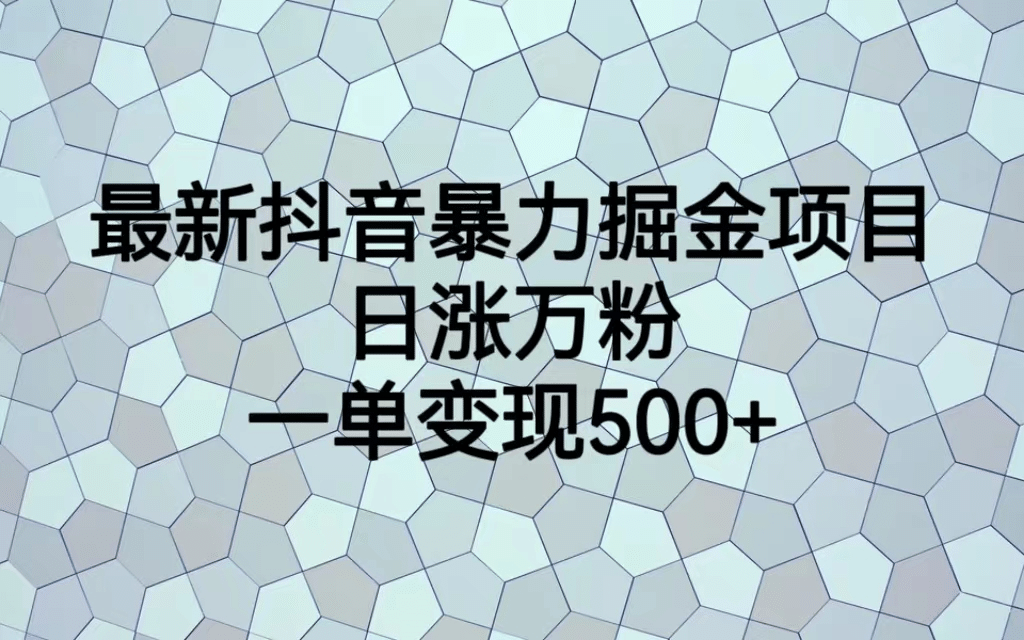 最火热的抖音暴力掘金项目，日涨万粉，多种变现方式，一单变现可达500+-时光资源网