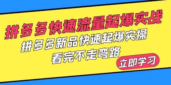 拼多多-快速流量起爆实战，拼多多新品快速起爆实操，看完不走弯路-时光资源网