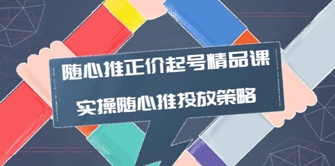 随心推正价起号精品课，实操随心推投放策略（5节课-价值298）-时光资源网