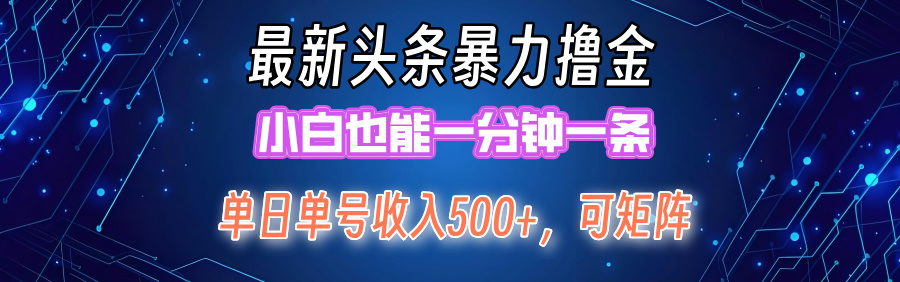 最新头条撸金，小白也能一分钟一条-时光资源网