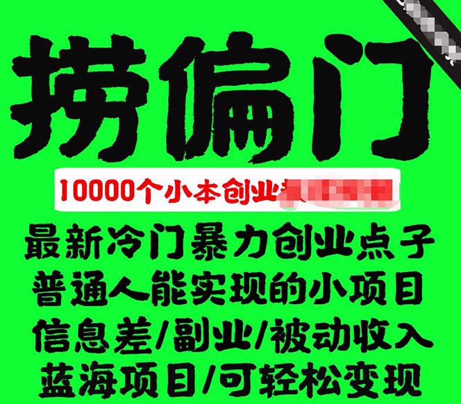 千款捞偏门小本创业小项目，总有一款适合你【无水印】-时光资源网
