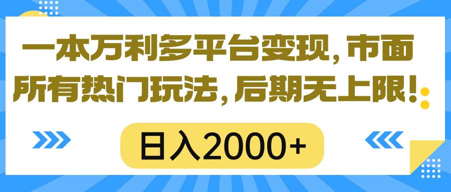 一本万利多平台变现，市面所有热门玩法，日入2000+，后期无上限！-时光资源网