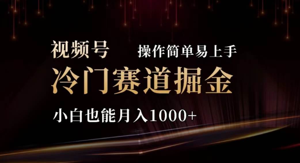 2024视频号冷门赛道掘金，操作简单轻松上手，小白也能月入1000+-时光资源网