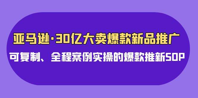亚马逊30亿·大卖爆款新品推广，可复制、全程案例实操的爆款推新SOP-时光资源网