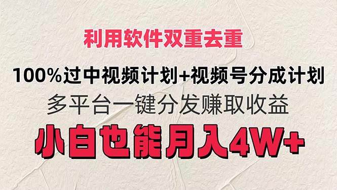 利用软件双重去重，100%过中视频+视频号分成计划小白也可以月入4W+-时光资源网