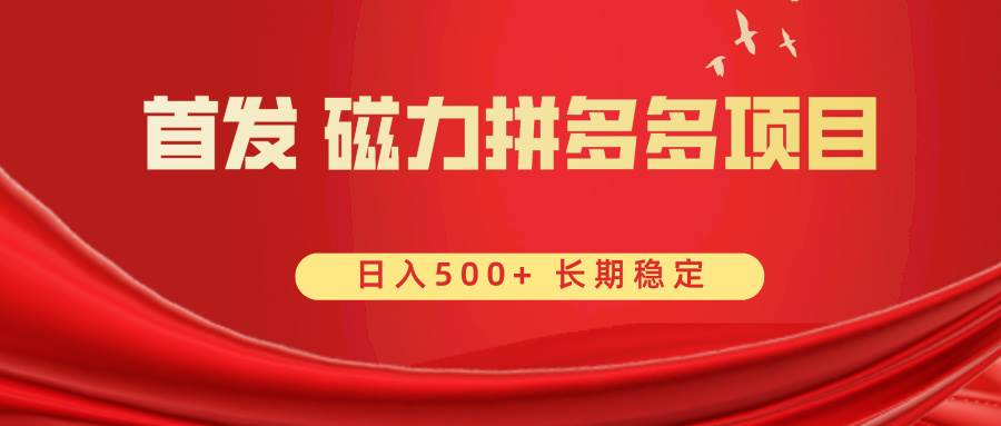 首发 磁力拼多多自撸  日入500+-时光资源网