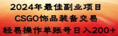 2024年最佳副业项目 CSGO饰品装备交易 轻易操作单账号日入200+-时光资源网