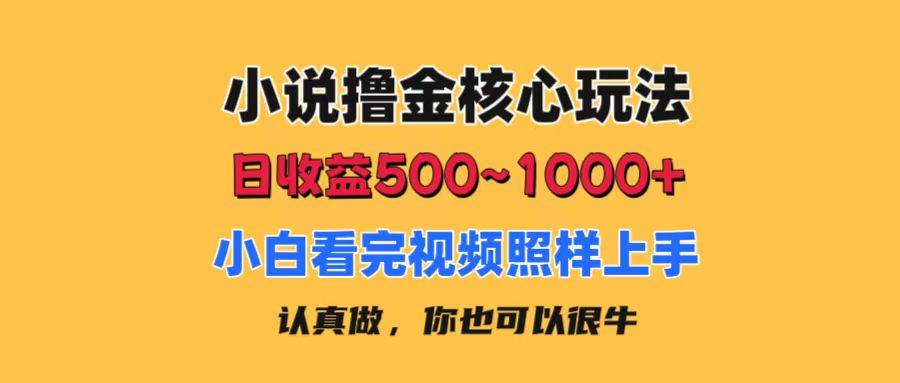 小说撸金核心玩法，日收益500-1000+，小白看完照样上手，0成本有手就行-时光资源网