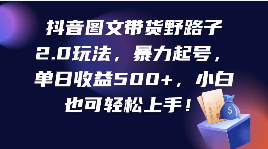 抖音图文带货野路子2.0玩法，暴力起号，单日收益500+，小白也可轻松上手！-时光资源网