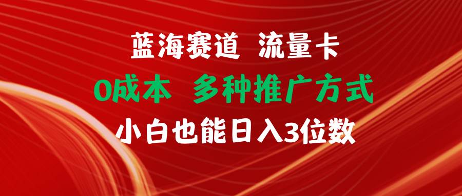 蓝海赛道 流量卡 0成本 小白也能日入三位数-时光资源网