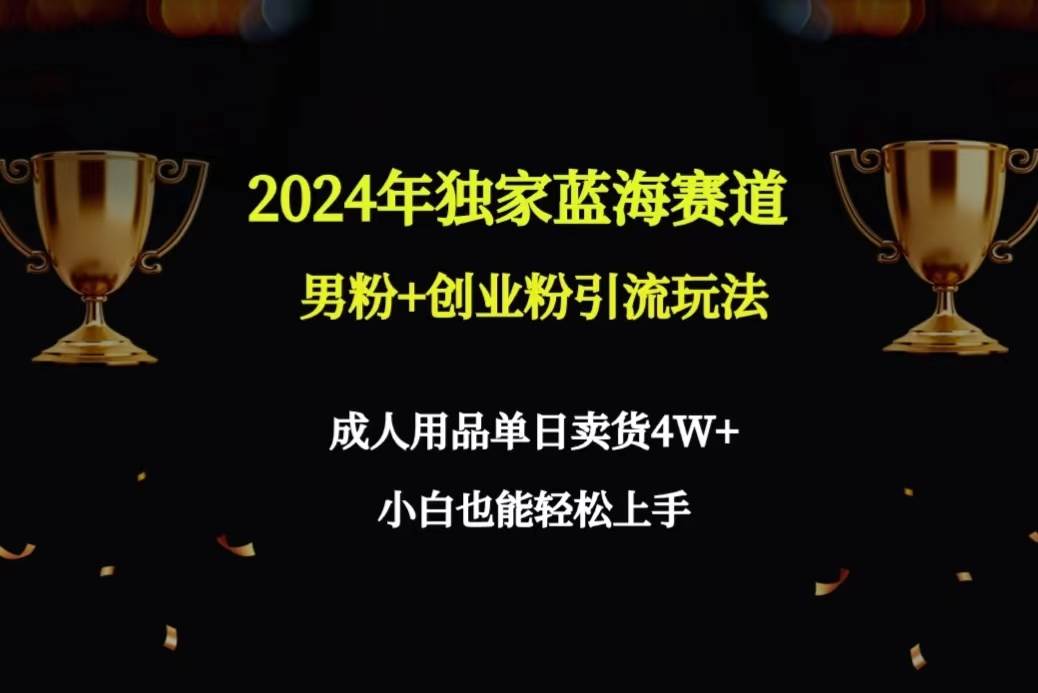 2024年独家蓝海赛道男粉+创业粉引流玩法，成人用品单日卖货4W+保姆教程-时光资源网