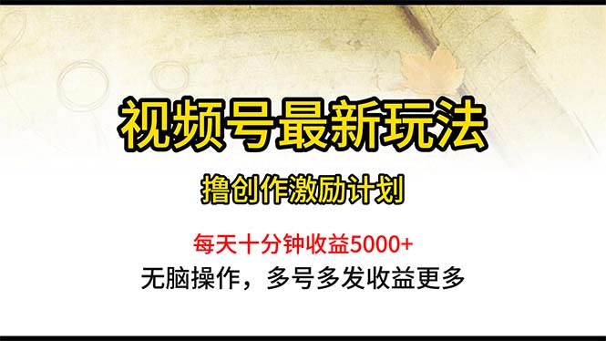 视频号最新玩法，每日一小时月入5000+-时光资源网