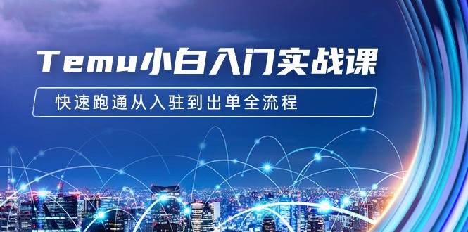 Temu小白入门实战课：跨境拼多多电商培训 快速跑通从入驻到出单全流程-12节-时光资源网