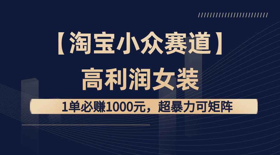 【淘宝小众赛道】高利润女装：1单必赚1000元，超暴力可矩阵-时光资源网