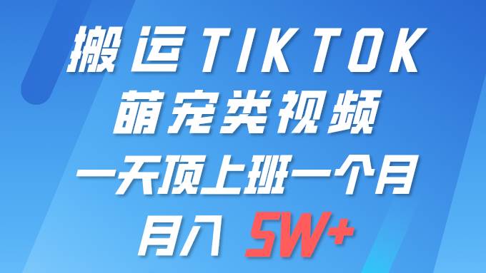 一键搬运TIKTOK萌宠类视频 一部手机即可操作 所有平台均可发布 轻松月入5W+-时光资源网