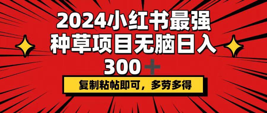 2024小红书最强种草项目，无脑日入300+，复制粘帖即可，多劳多得-时光资源网