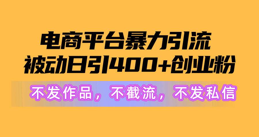 电商平台暴力引流,被动日引400+创业粉不发作品，不截流，不发私信-时光资源网