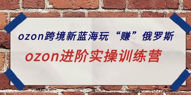 ozon跨境新蓝海玩“赚”俄罗斯，ozon进阶实操训练营-时光资源网