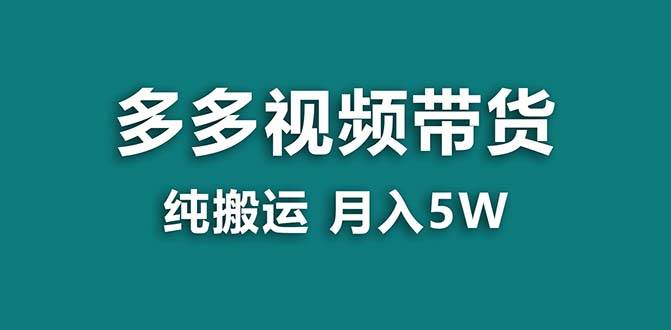 【蓝海项目】拼多多视频带货 纯搬运一个月搞了5w佣金，小白也能操作 送工具-时光资源网