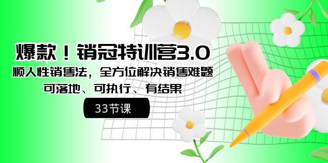 爆款！销冠特训营3.0之顺人性销售法，全方位解决销售难题、可落地、可执行、有结果-时光资源网
